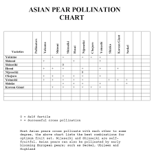 Hazelnut Pollination Chart Asian Pear Pollination