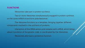 Maybe you would like to learn more about one of these? Ribosomes Introduction The Ribosomes Are Small Dense Rounded