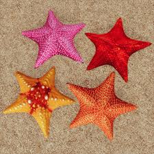 Find & download free graphic resources for starfish. Starfish 4 Colors Sansar Store
