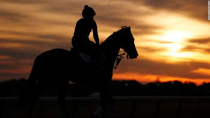 Vic cangialosi says hot rod charlie will win the belmont stakes. Qpyqksqvkrz1m