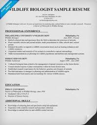 Tufts career center resume critique. Pin On Resume Examples Office