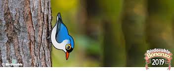 … birdlife species champions appeal donate to this groundbreaking initiative. Birdorable 2019 Bonanza Bird 7 Velvet Fronted Nuthatch