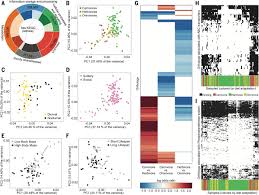 Check spelling or type a new query. Diversity And Functional Landscapes In The Microbiota Of Animals In The Wild Science