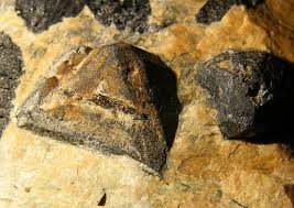 Maybe you would like to learn more about one of these? Magnetite From Sandefjord Vestfold Og Telemark Norway