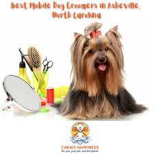 Dog Grooming Near Me Asheville North Carolina In 2021 Yorkie Haircuts Yorkie Hairstyles Dog Grooming