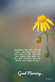 56 Good Morning Quotes And Wishes With Beautiful Images Good Morning Quotes Funny Good Morning Messages Good Morning Messages