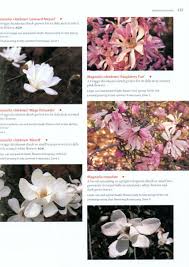 Maybe you would like to learn more about one of these? The Timber Press Encyclopedia Of Flowering Shrubs More Than 1700 Outstanding Garden Plants Nhbs Academic Professional Books