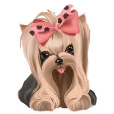 Yorkie Cartoon Photos Royalty Free Images Graphics Vectors Videos Adobe Stock In this page, it contains some of the characters that exist in a way either drawn to be cartoon like or realistically inspired or comic like to it's appearance. yorkie cartoon photos royalty free