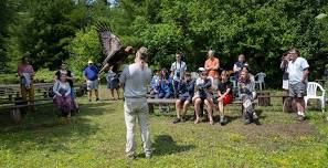 Raptor Saturday