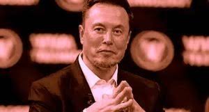 Quali sono i migliori libri da leggere sui cani — iGizmo.it