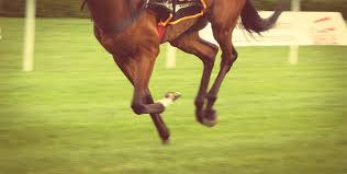 See more of ブルース・スプリングスティーン on facebook. ã‚¹ãƒ—ãƒªãƒ³ã‚°säºˆæƒ³2021 ã‚¢ãƒ¼ãƒ«ãƒãƒ­ãƒ³ è·é›¢çŸ­ç¸®ãŒå‰ã¨å‡ºã‚‹ã‹ ç«¶é¦¬ãƒ˜ãƒƒãƒ‰ãƒ©ã‚¤ãƒ³