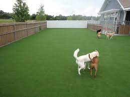 The brief of this place: Pet Dog Turf Charlotte Nc Artificial Grass For Dogs Synlawn Carolina