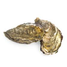 oyster pacific raw per 100 grams