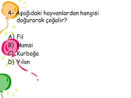 Canlilarda Ureme Buyume Ve Gelisme Ppt Indir