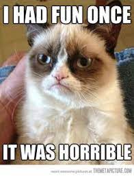 Find and save images from the grumpy cat memes collection by miss d (missfreelancer) on we heart it, your everyday app to get lost in what you love. 340 Grumpy Cat Memes Ideas Grumpy Cat Cat Memes Grumpy