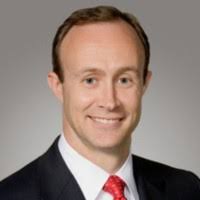 700+ "Steller" profiles