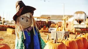 10 Haunting Facts About Halloween