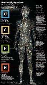 Elements In The Human Body Chemistry Astronomy Life Science