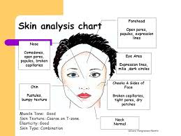 Aim Of Todays Lesson To Perform Skin Analysis Ppt Video