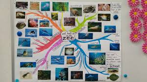 Mindmap Wat Leeft Er In De Zee Thema Onder Water Groep 1 2 Juf Ester Klaver Mindmap Water Thema