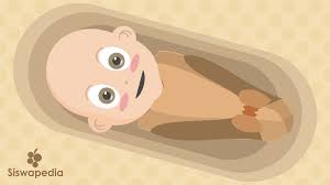 Kelahiran atau fertilitas dalam pengertian demografi adalah kemampuan riil seorang wanita untuk melahirkan, yang dicerminkan dalam jumlah bayi yang dilahirkan. Angka Kelahiran Atau Fertilitas
