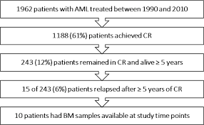 The term cure can only be used in hindsight. Late Relapse In Acute Myeloid Leukemia Aml Clonal Evolution Or Therapy Related Leukemia Blood Cancer Journal