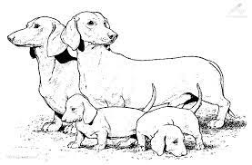 Kleurplaat hond met puppy, image url: 1001 Kleurplaten Dieren Hond Hond En Puppies