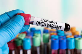 The delta coronavirus variant doubles the risk of hospitalization compared with the previously dominant variant in britain, but two doses of vaccine still provide strong protection, a scottish study. Hrwrfky6z4sonm