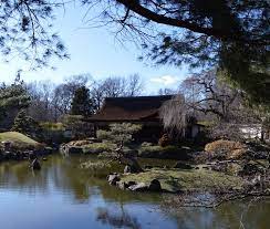 Shofuso Japanese House Garden Fairmount Park Horticultural Center Philadelphia Pennsylvania Nature Pine Landscape Trees Japanese Garden Tree Photography