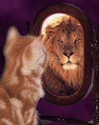 El ego y la confianza en uno mismo | The Coaching Alliance