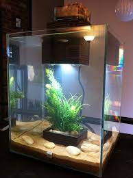 Fluval Chi Aquarium Betta Aquarium Aquarium Betta Fish