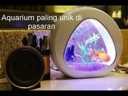 Setiap hari, kami menerbitkan cerita mengenai rumah, ikuti di sini. Mini Aquarium Unik Sunsun Melodiz Jspoir Ya01 Ya02 Youtube