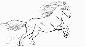 In only ten easy to follow steps you will learn how to draw a baby horse. How To Draw A Horse Tutorials That Beginners Should Check Out
