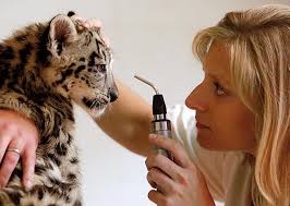 Nombreux sont les métiers animaliers ouverts à tous ceux qui sont sensibles à la santé, aux soins voyons la description des métiers dans ces catégories afin d'éclairer les chercheurs d'emplois sur les. Lm 49 Lorraine Magazine