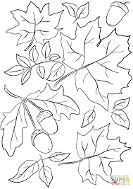 Autumn Leaves And Acorns Coloring Page From Fall Category Select From 27278 Printable Cra Fall Leaves Coloring Pages Pumpkin Coloring Pages Leaf Coloring Page