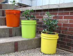 Maybe you would like to learn more about one of these? 5 Gallon Bucket Planter Practical Whimsy Designs