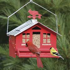 Caged Bird Feeders For Small Birds Uk Duncraft Com Squirrel Be Gone Country Bird Feeder Squirrel Proof Bird Feeders Bird Feeders Wild Bird Feeders