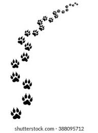 Bogen tierspuren zum bestimmen und erkennen der spuren heimischer tiere;. Footprints Cat Turn Right Stock Vector Royalty Free 388095712