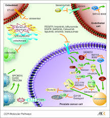 Many cancers are small, non palpable (dre), asymptomatic discovered on needle biopsy following raised psa level***. Mechanisms Underlying The Development Of Androgen Independent Prostate Cancer Clinical Cancer Research