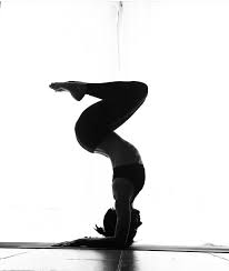 Standing forward fold (uttanasana) not many people realize the necessity of hamstring flexibility when practicing handstand. Yoga Posture 16 Forearm Stand Pinchamayurasana Steemit