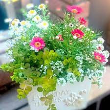 花かんざし 寄せ植え の検索結果 yahoo 検索 画像 鉢植え 花 寄せ植え 玄関アプローチ花壇