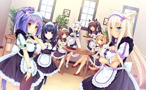 Nekopara Wallpapers Wallpaper Cave If you have your own one, just send us the image and we will show it on the. nekopara wallpapers wallpaper cave