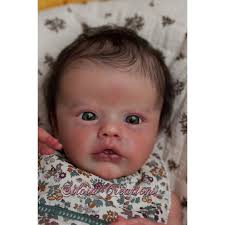 Preorder Primrose awake