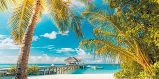 The caribbean, like most tourist locales, has been influenced by the cuisines of many visiting cultures. Top 10 Foods To Try In The Caribbean Bbc Good Food