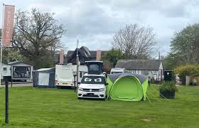 Image result for Timorbeige 1982 Fleet