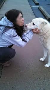 Give a homeless pet a loving forever home. It S Been 7 Years Since The Rescue Of 100 Dogs From The Olympic Animal Sanctuary Seattle Dogspot