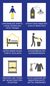 Das virus war offenbar aus kamerun eingeschleppt. Zika Virus Antworten Auf Haufige Fragen