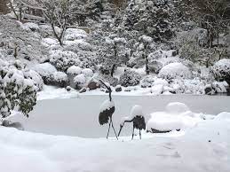 Pin On Winter In The Garden