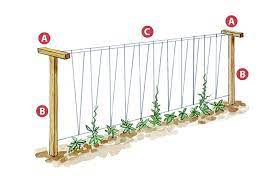 Once you have all your knots tied carefully lift your. 4 Diy Vegetable Garden Trellises Garden Gate