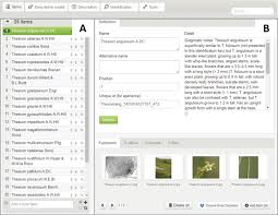 Image result for Thesium goetzeanum